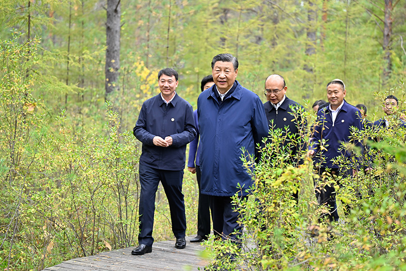 9月6日至8日，中共中央總書記、國家主席、中央軍委主席習(xí)近平在黑龍江考察。這是6日下午，習(xí)近平在大興安嶺地區(qū)漠河市漠河林場自然林區(qū)考察